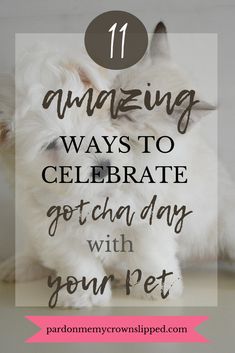 a white dog with the words 11 amazing ways to celebrate gotchaday with your pet