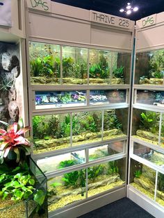 a display case filled with lots of different types of plants