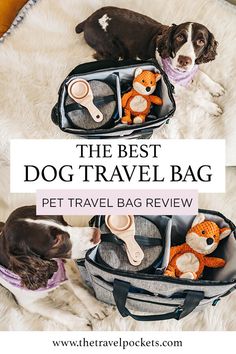 the best dog travel bag pet travel bag review with two dogs in it and one is holding