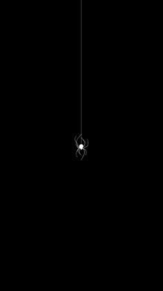 a spider hanging from a web in the middle of a dark room with no one inside