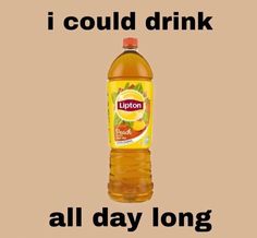 a bottle of lipton liquid with the caption i could drink all day long