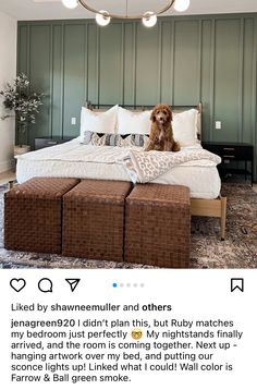 a dog sitting on top of a bed in a room with green walls and furniture