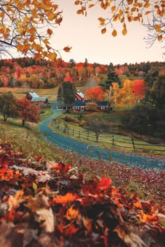 an autumn scene with leaves on the ground and houses in the distance, surrounded by fall foliage