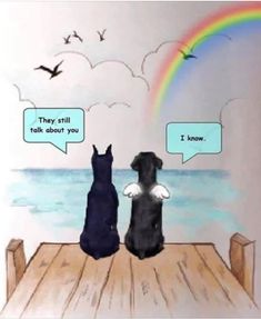 two dogs sitting on a dock with rainbow in the background