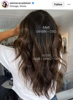 6wg Shades Eq, Dimensional Brunette Shades Eq Formula, Shades Eq Brown Formulas, Brunette Formulas, Redken Shade, Haircolor Formulas