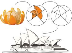 an orange is cut in half and placed next to the sydney opera house with diagrams about it