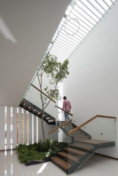 a man is standing at the top of a stair case in front of a tree