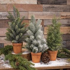 three potted plants sitting on top of a wooden table covered in snow next to a pine cone