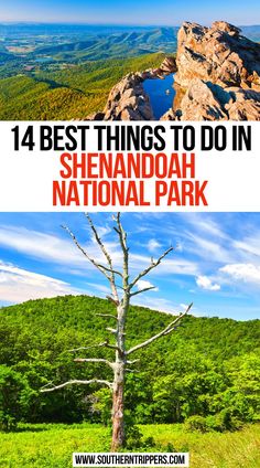 14 Best Things To Do In Shenandoah National Park Virginia National Parks, What To Do Outside, Things To Do In Virginia, Virginia Travel, Skyline Drive, National Park Road Trip, Shenandoah National Park, Usa Travel Guide, Gorgeous Scenery