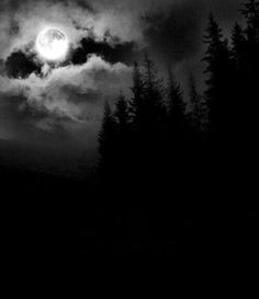 black and white photograph of full moon in cloudy sky with trees on the ground below