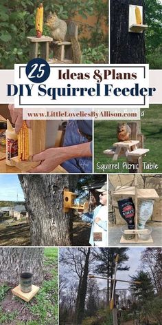 several different pictures with the words 25 ideas and plans to diy squirrel feeder