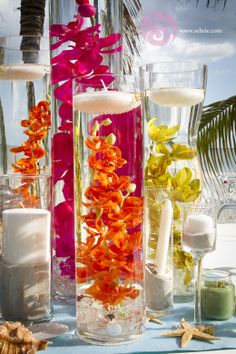 several vases filled with water and flowers on a table next to shells, sand and starfish