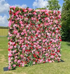 a large pink and red flowered wall in the grass