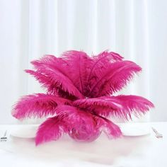 a pink plant sitting on top of a white table