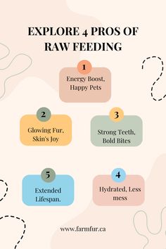 an info sheet with the words explore 4 pros of raw feeding