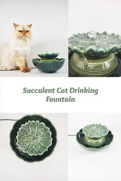 Hand crafted ceramic drinking fountain for your petImproves pet health and looks super cute in your home Cute Cat Fountain, Cute Cat Water Fountain, Ceramic Cat Fountain, Diy Cat Fountain, Cat Assesories, Cat Drinking Fountain, Cat Water Bowl, Colorful Hairstyles, Cat Fountain