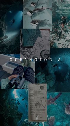 Oceanologia
Wallpaper Oceanologia
Oceano
Animais Aquáticos 
Mar Funny Artist, Panda Funny, Life Memes, Be Beautiful, Instagram Page, Everyday Life, Memes, Water