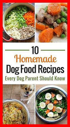 10 homemade dog food recipes every dog parent should know