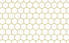 a white and gold hexagonal pattern with lines in the middle on a white background