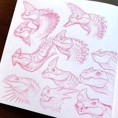 a book with drawings of different types of alligators and crocodile heads in red ink