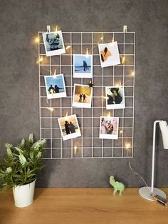 a white wire wall hanging with pictures and lights on it next to a potted plant