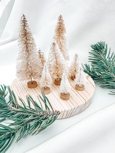 small pine trees are placed on a wooden tray