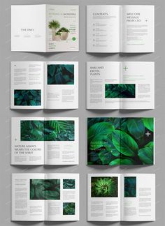 an open brochure with green leaves on the front and back pages, all in different