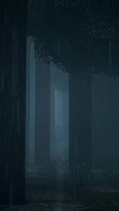 a dark forest with tall trees in the fog