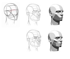 four different angles of the head