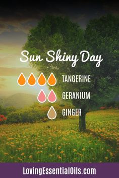 Sun Shiny Day Essential Oil Blend with Tangerine, Geranium and Ginger Essential Oil Energy Blend, Positive Energy Essential Oil Blends, Energy Essential Oil Blend, Cypress Diffuser Blends, Energy Clearing Diffuser Blend, Mood Boosting Essential Oils