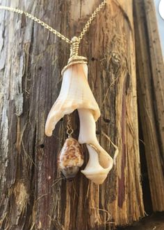 two pieces of animal bone hanging from a chain on a wooden piece with grass growing around them