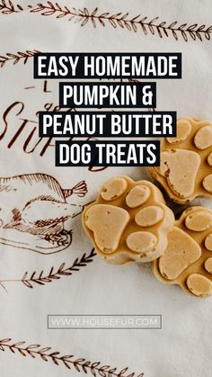 homemade pumpkin and peanut butter dog treats with text overlay that reads easy homemade pumpkin and peanut butter dog treats