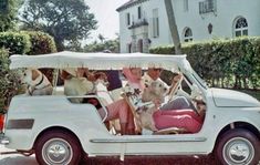 an old photo of people and dogs in a car with a canopy over the top