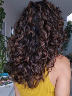 Partial Highlight Curly Hair, Black Curly Highlights, Coloured Curly Hair Highlights, Dark Brown Hair Curly Natural, Dark Balayage Curly Hair, Mocha Brown Curly Hair, Chocolate Balayage Curly Hair, Afro Balayage, Curly Black Hair Highlights