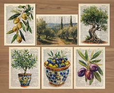 four pictures of olives and other fruits on an old book page with trees in the background