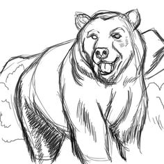 a black and white drawing of a bear