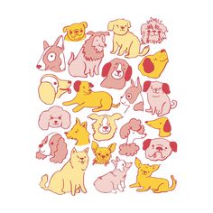 a bunch of different types of dogs on a white background