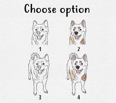 how to draw a dog's face in three different ways with the words choose option