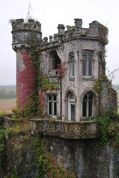 an old building with vines growing on it