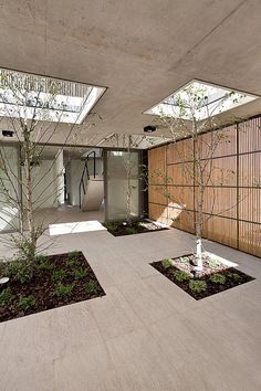 an indoor courtyard with trees and plants in the center, surrounded by wooden slats