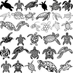 an image of sea turtles in black and white