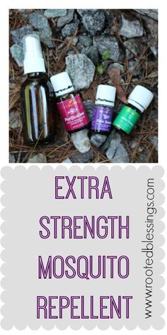 Extra Strength Mosquito Repellent Recipe Natural Mosquito Repellent, Young Living Oils Recipes, Living Oils Recipes, Mosquito Spray, Natural Mosquito Repellant, Yl Oils, Yl Essential Oils