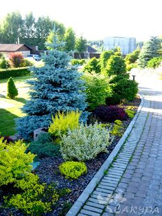 an outdoor garden with various trees and shrubs in the foreground, surrounded by brick pavers