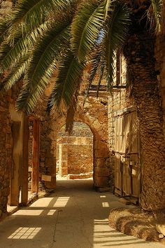 an alley way with palm trees and stone buildings