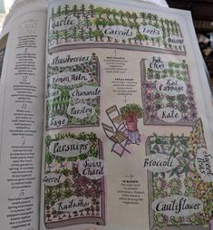 an open book with instructions on how to grow flowers and plants in the same garden