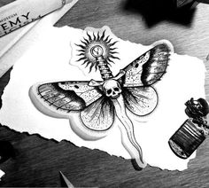 a black and white photo of a moth on paper