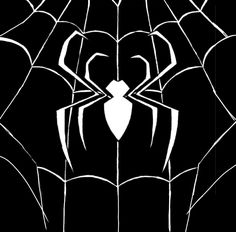 a black and white image of a spider web on a dark background, with the outline of an insect in it's center