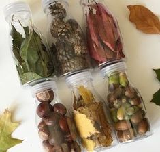 four clear jars filled with different types of nuts and leaves on a white surface next to an autumn leaf