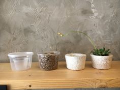 three small pots with plants in them sitting on a table next to a wall and a potted plant