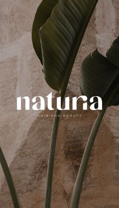 a plant with the word nattura in front of it